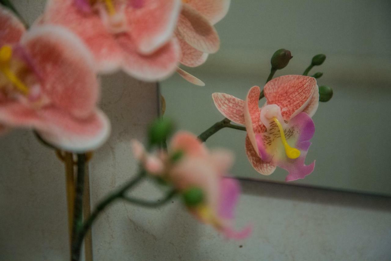 Santos Neighborhood Apartment リスボン エクステリア 写真